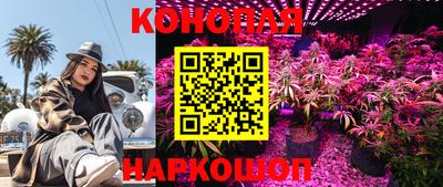 СК Шахты