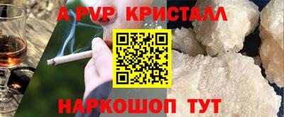 СК Шахты
