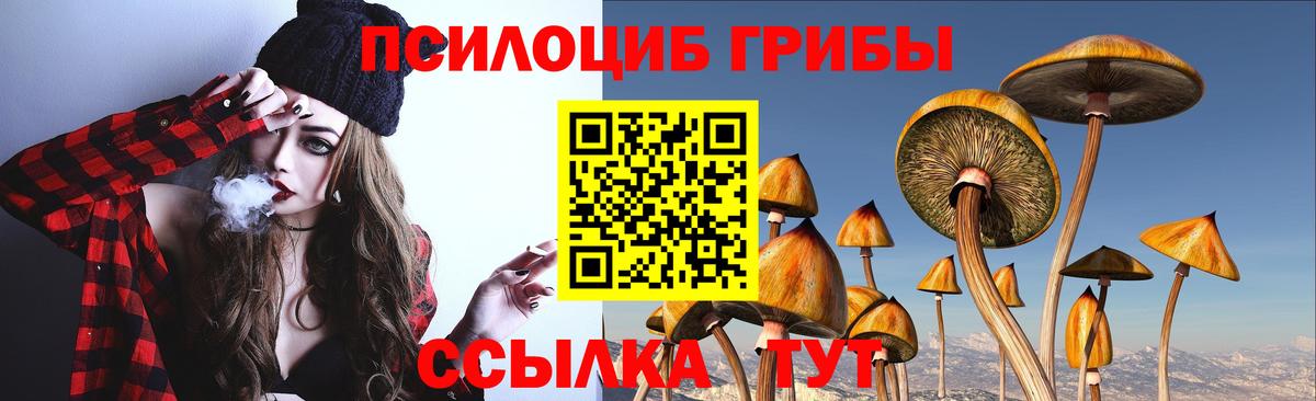 Псилоцибиновые грибы MAGIC MUSHROOMS  Вход с VPN  Барнаул 
